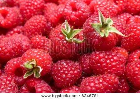Red Raspberries