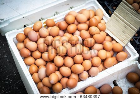 Egg