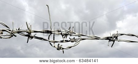 Barbed Wire
