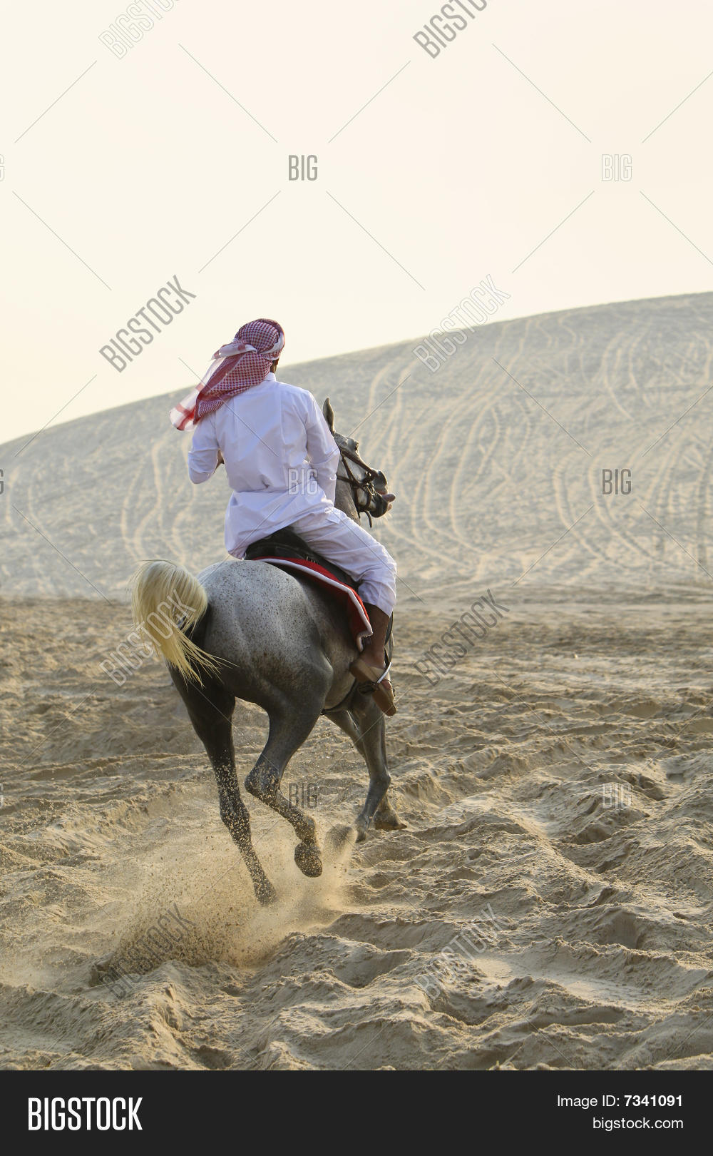 Arab Man Riding Horse Image & Photo (Free Trial) Bigstock
