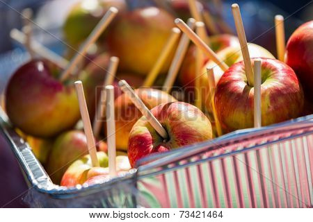 Caramel Apples