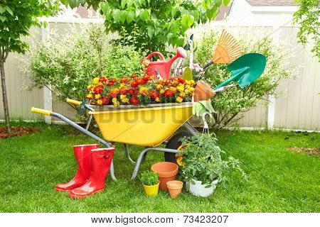 Wheelbarrow with shovel and rake in a beautiful garden