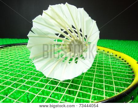 Shuttlecock On A Badminton Racket