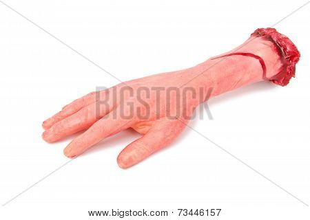 the hand