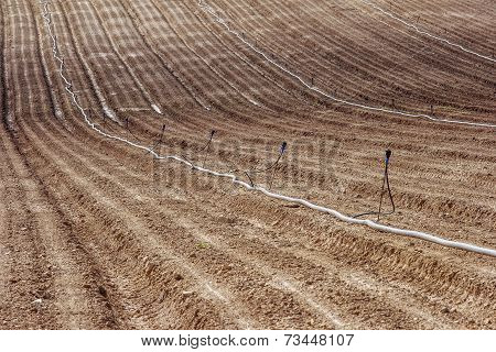 Furrows