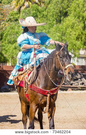San Diego - Cinco De Mayo