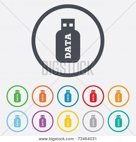 Usb Stick sign icon. Usb flash drive button.
