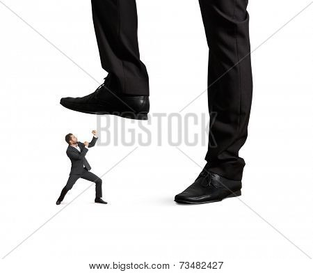 concept photo of conflict between subordinate and boss. angry young businessman punching and looking up at big palm of his boss. isolated on white background