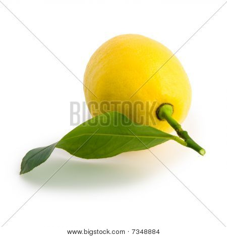 Gul citron