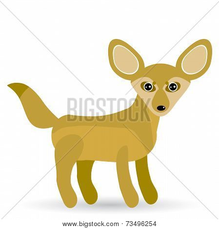 Funny Fennec Fox Cute On A White Background.