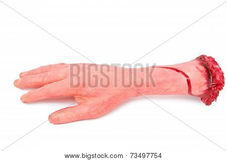 the hand