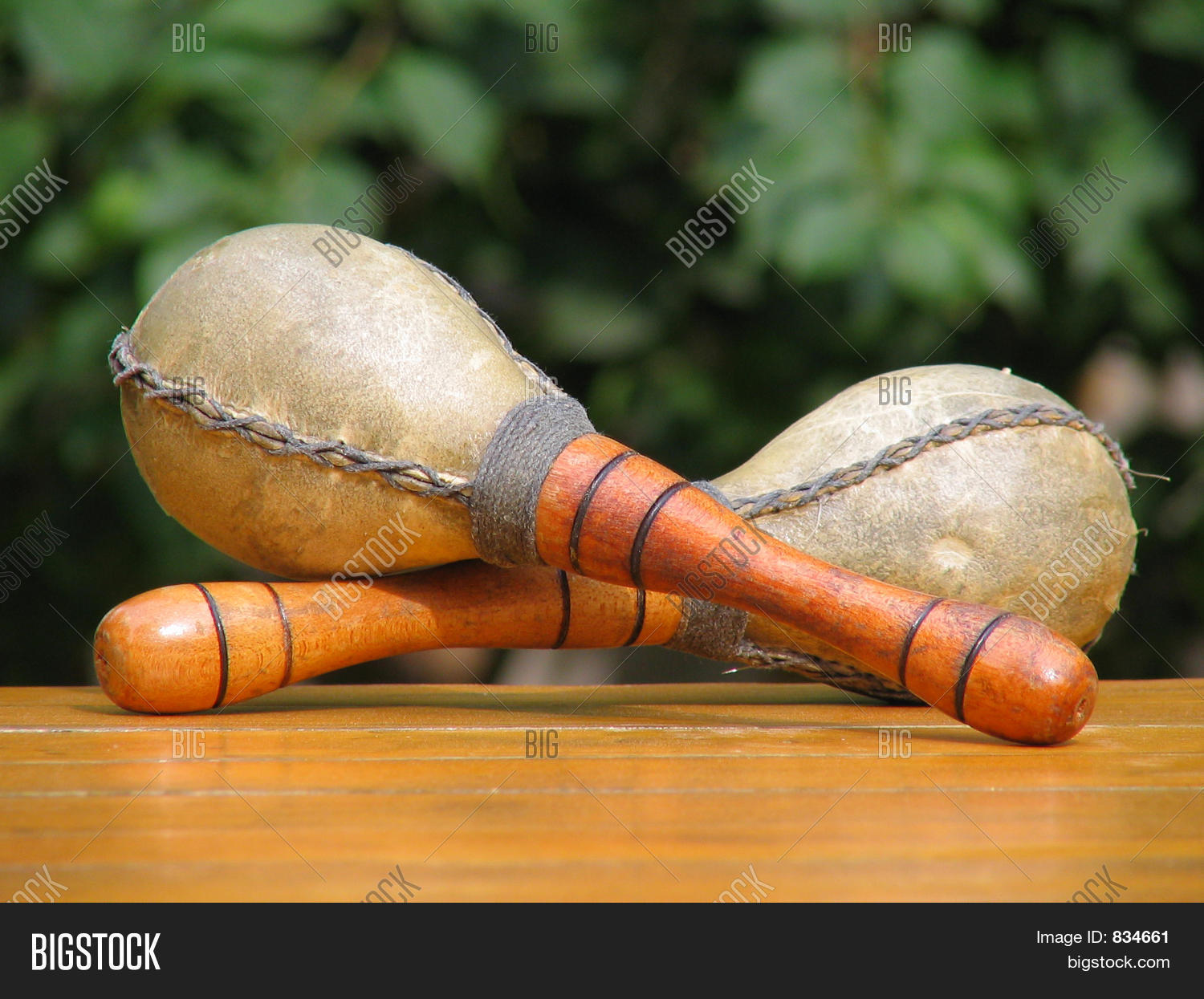 Latin Instrument Image & Photo (Free Trial) Bigstock