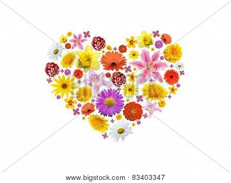 Heart flower