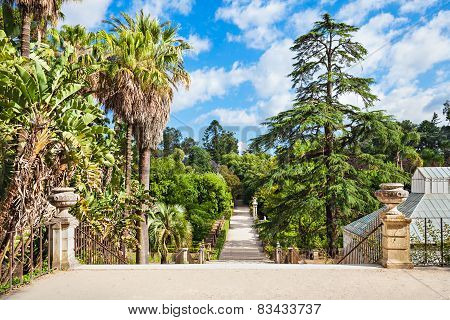 Botanical Garden, Coimbra