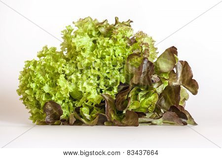 Bunch of lettuce leaves of different grades