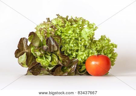 Bunch of lettuce leaves of different grades