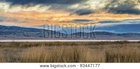 Cranes Migrating Over Gallocanta Lagoon In, Spain