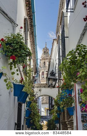 Calleja De Las Flores In Cordoba, Andalusia, Spain.