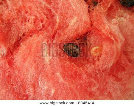 Anguria