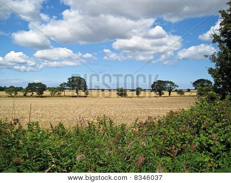 Jesienią sceny