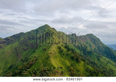 Mountains And Jungle With Mist In Foggy Weather In Thailand