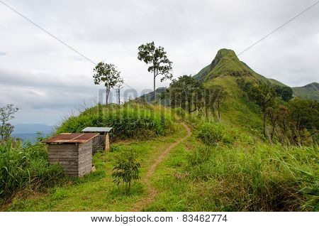 Mountains And Jungle With Mist In Foggy Weather In Thailand