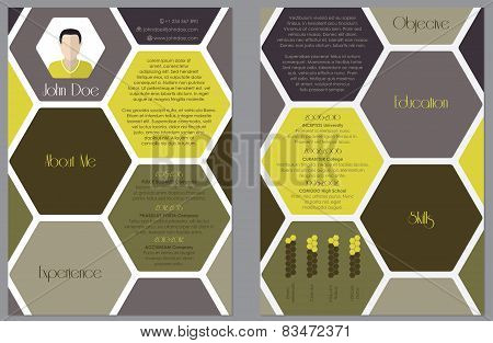 Modern Resume Design With Hexagon Theme