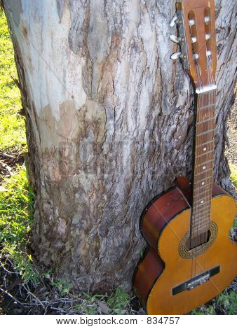 Land-gitaar