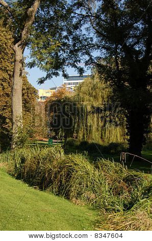 Glebe zahrady, Basingstoke