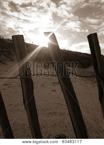 trough the slit