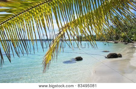 summer in costa rica