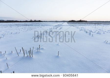 cold winter day