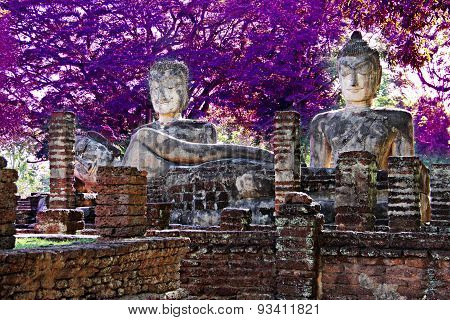 Old Buddha Statue With Purple Techniclor