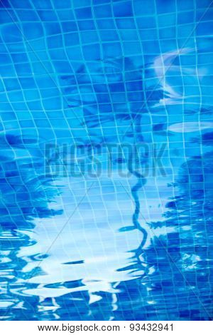 Blue Color  Pool Water And Tree Shadow