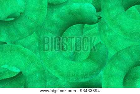 abstract Background Tamarind The view from the top