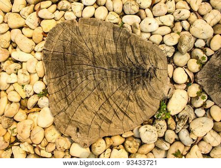 By felling trees background for the background.