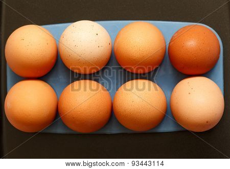 Fresh eggs close up on a white background