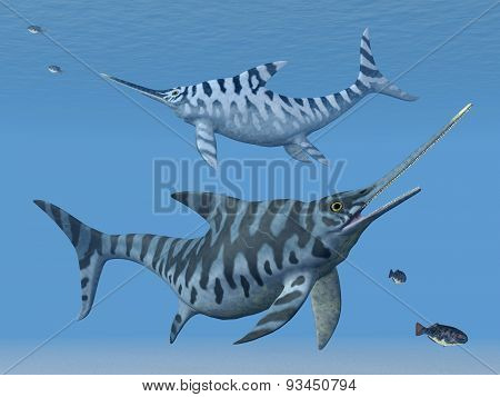 Ichthyosaur Eurhinosaurus