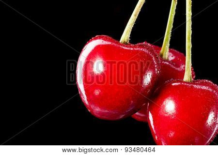 Three berries of a cherry