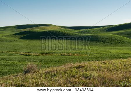 Rolling Hills