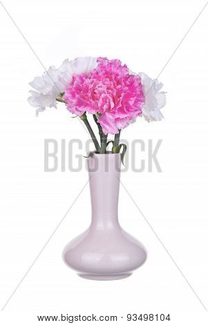 Carnations