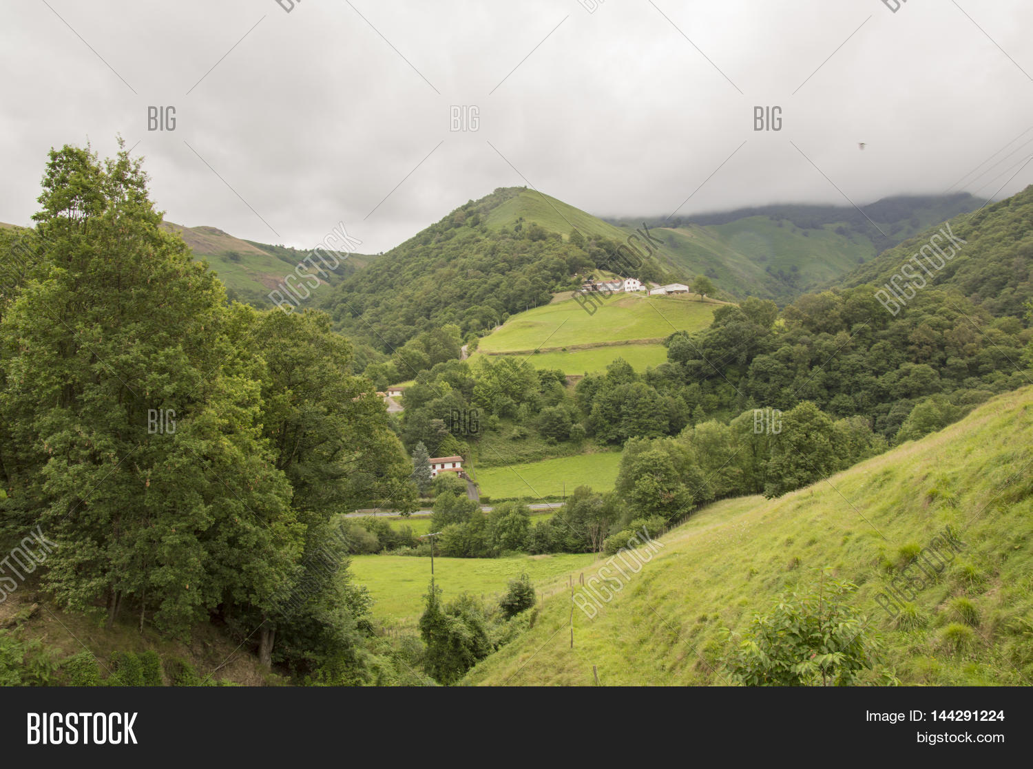 Image Preview