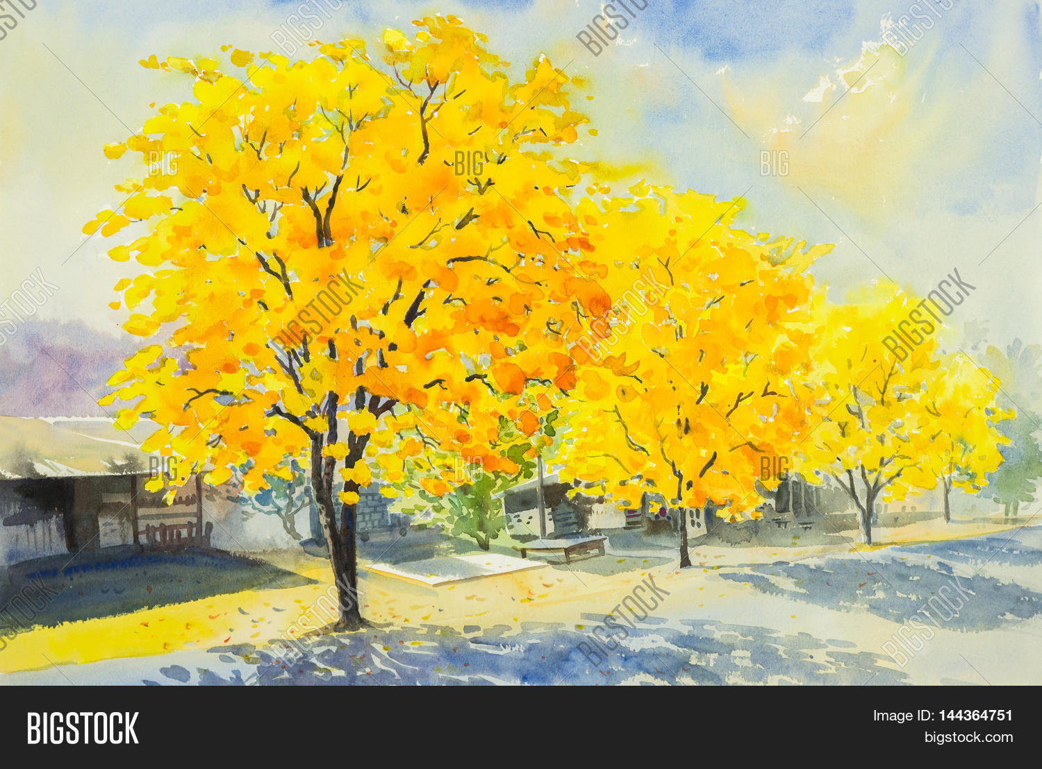 Image Preview