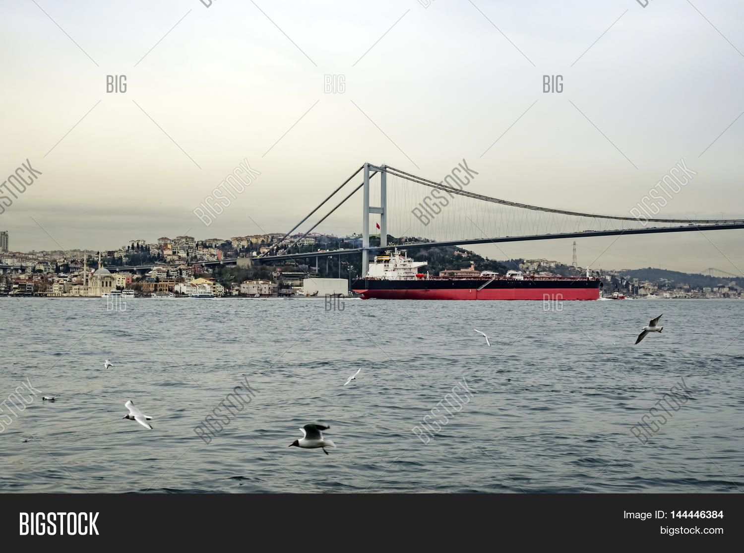 Image Preview