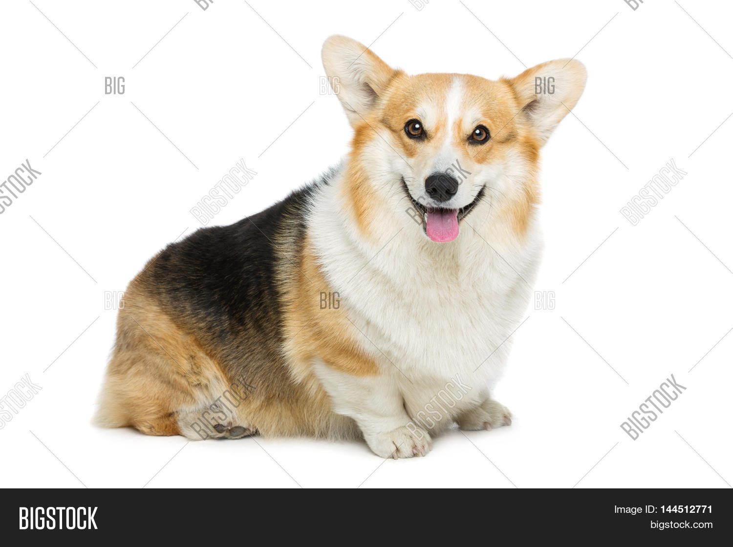 Image Preview