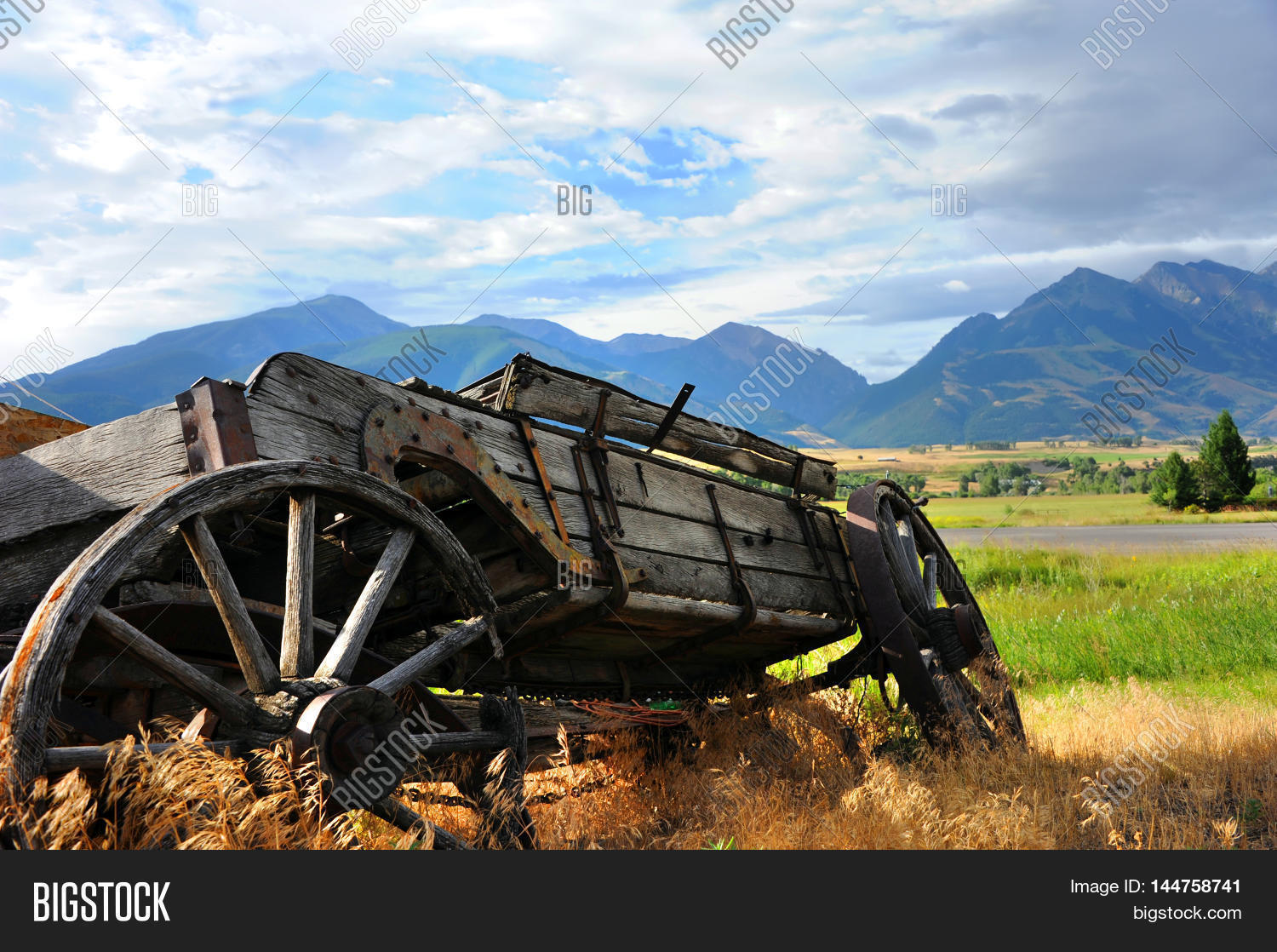 Image Preview