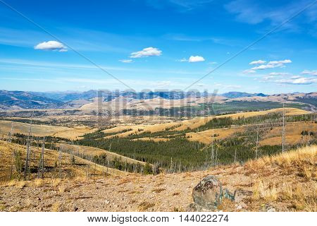 Landscape Near Mount Washburn