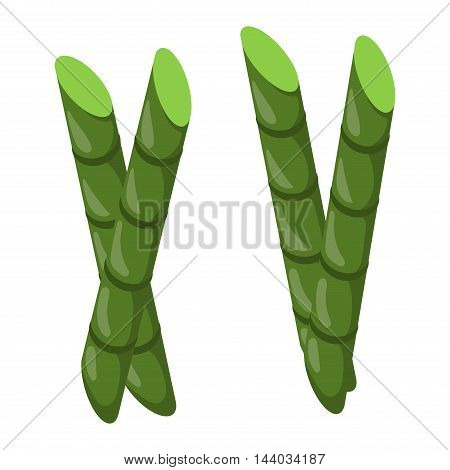 Branches of bamboo stem board vector green foliage. Feng shui green foliage vibrant tree bamboo stem. Tropical branch japanese natural gardening serene lucky bamboo stem botanical environment.