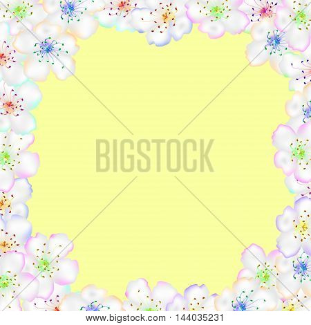 Frame from flowers of apple. Delicate apple or cherry flowers on the sandy background.