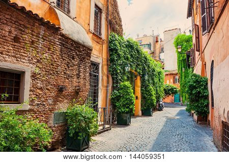 Street In Rome, Italy
